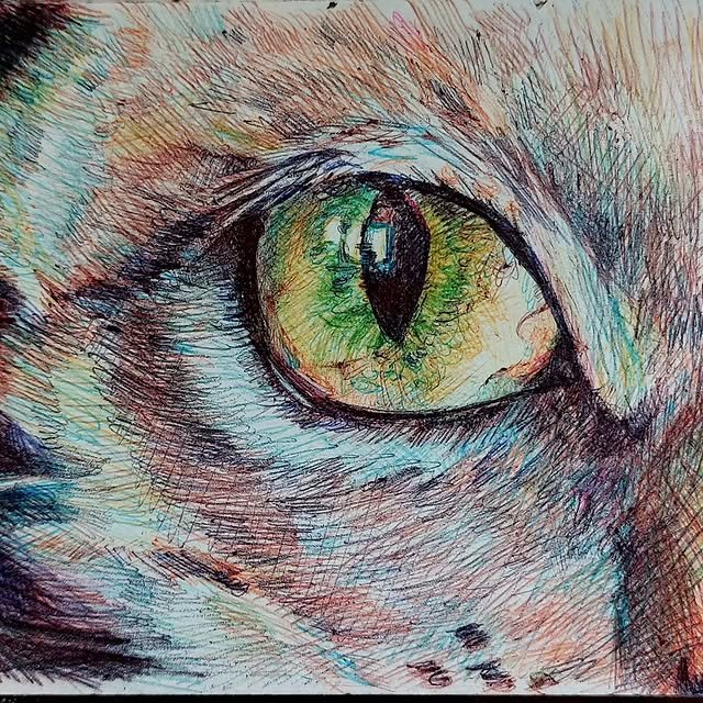 362920256_250144861287760_4838221187755835006_n.